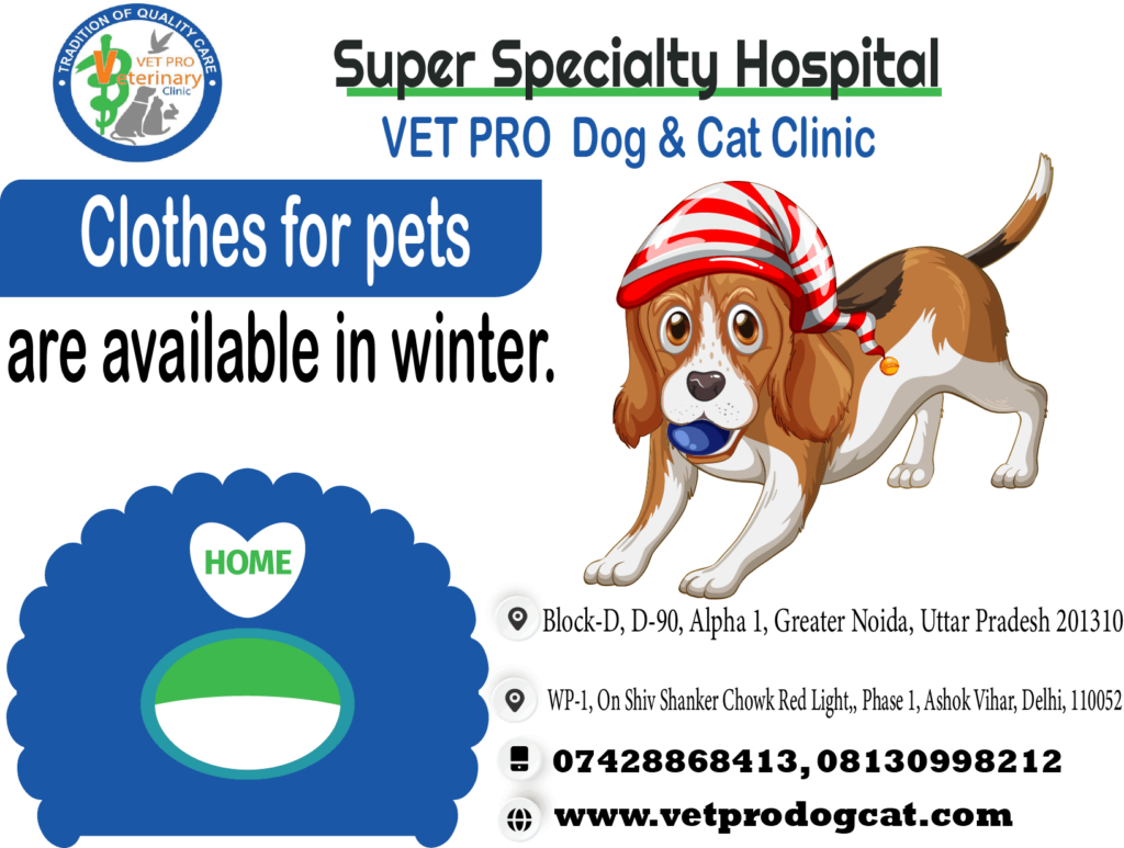 Dog clinic delhi