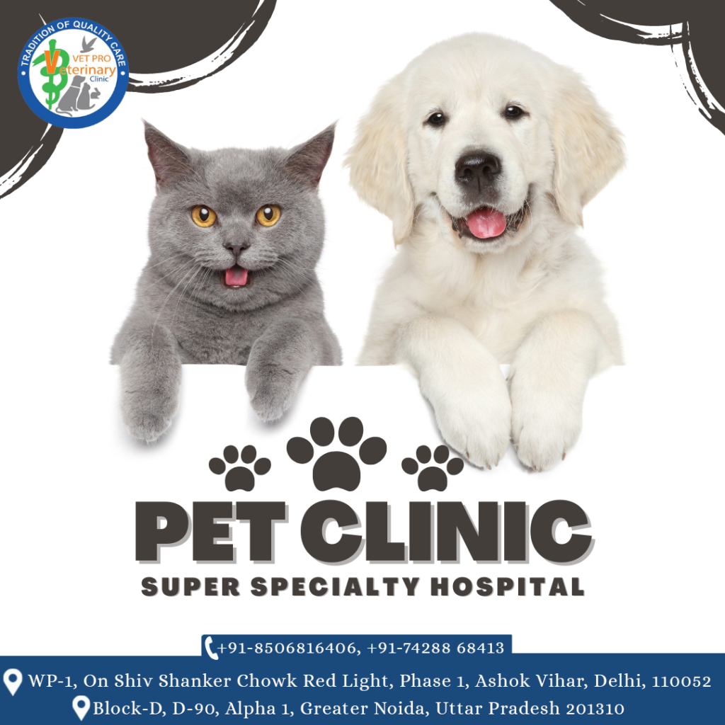 Dog clinic in delhi