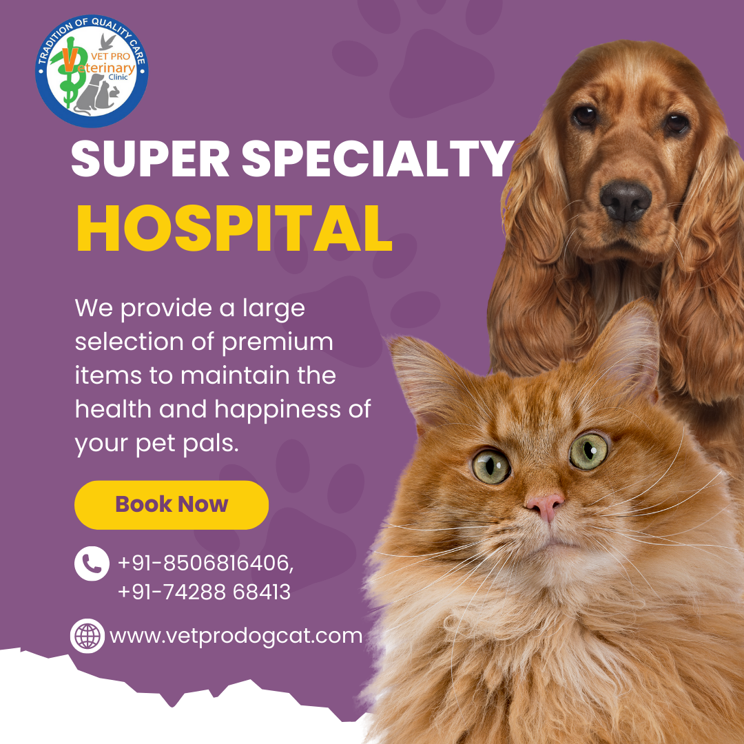 Pet Super Specialty Hospital in Ashok Vihar Delhi.