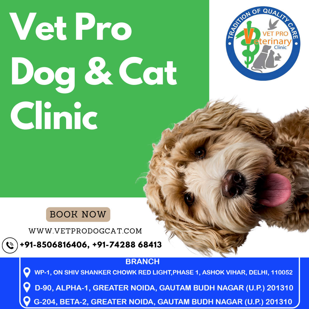 Pet care center in Delhi