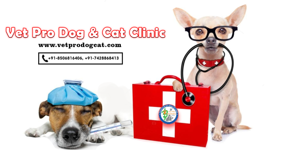 VET PRO Kumar's Dog and Cat Clinic in Ashok-Vihar,Delhi