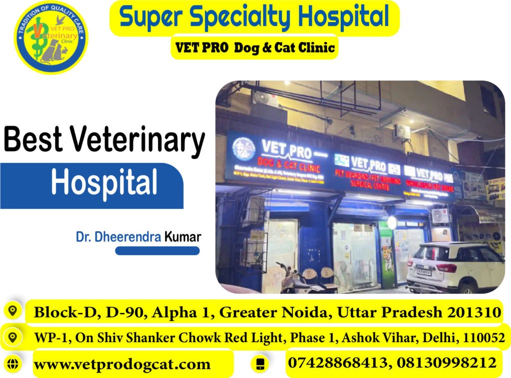 veterinary hospital in delhi