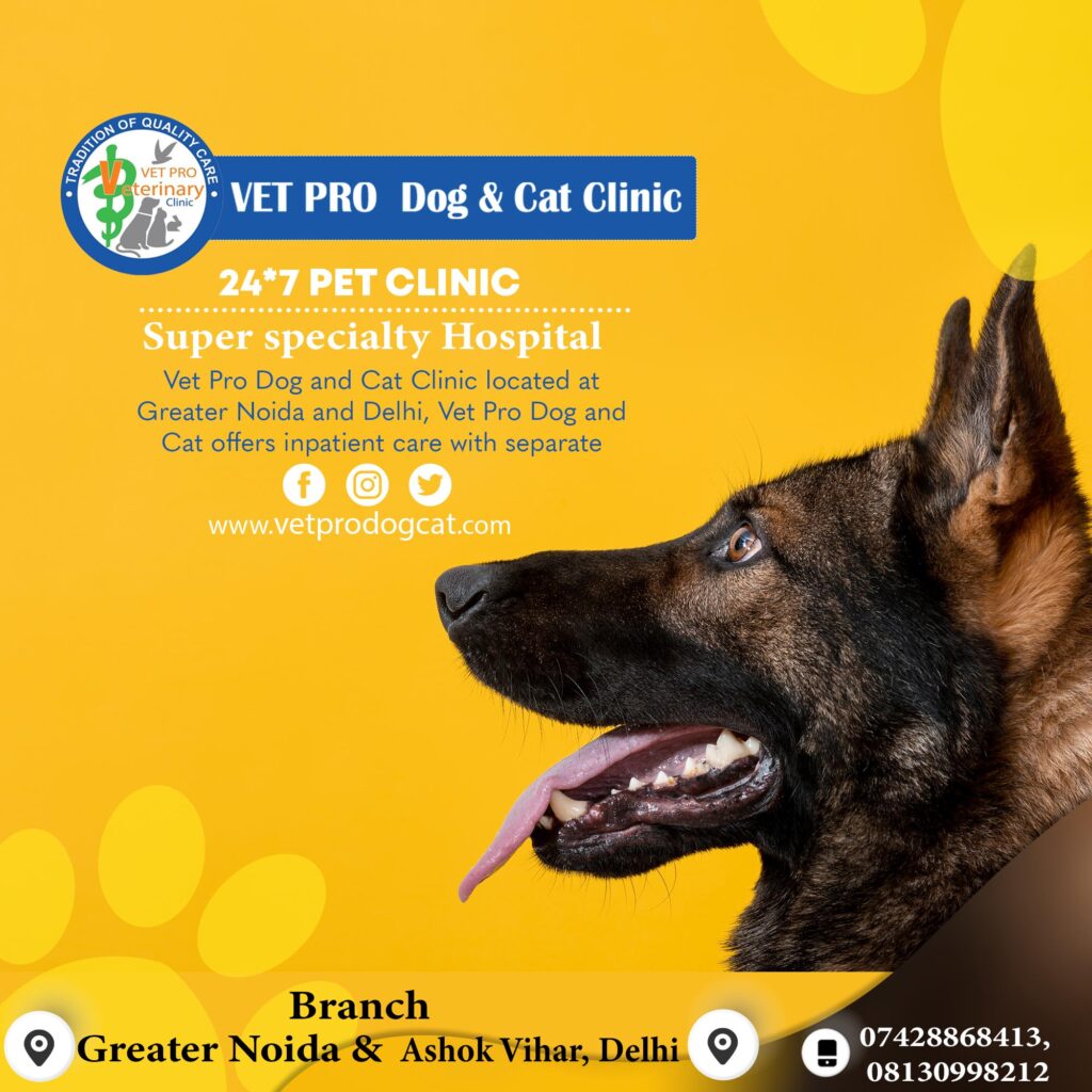 veterinary clinic in delhi