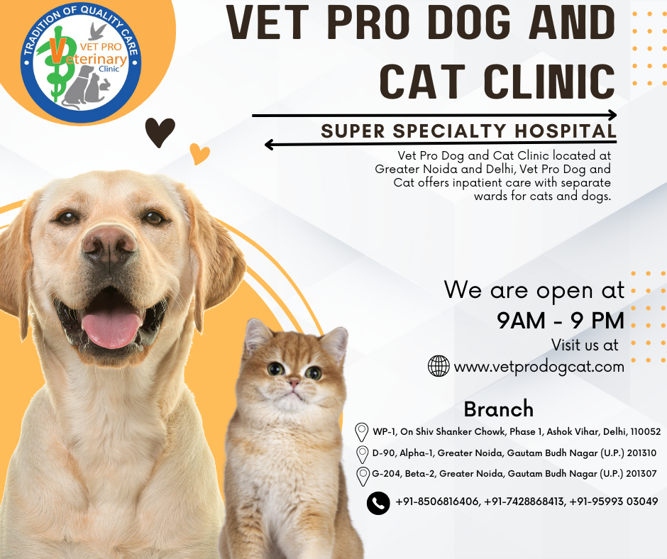 Best veterinary Clinic in Greater Noida and Ashok Vihar Delhi