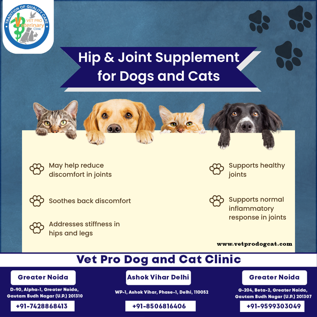 Hip & Joint Supplement for Dogs and Cats