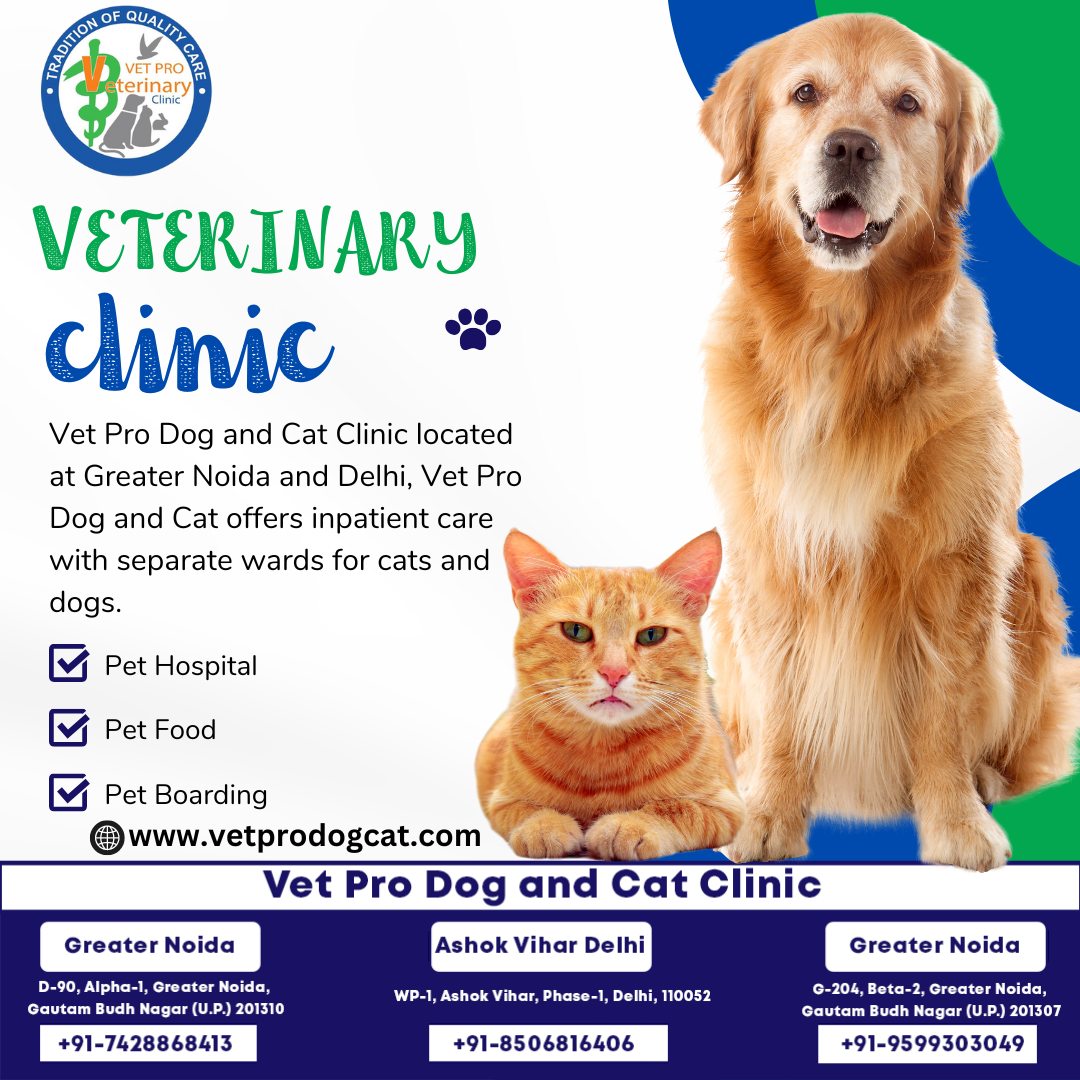 Veterinary treatment in Greater Noida and Ashok Vihar Delhi