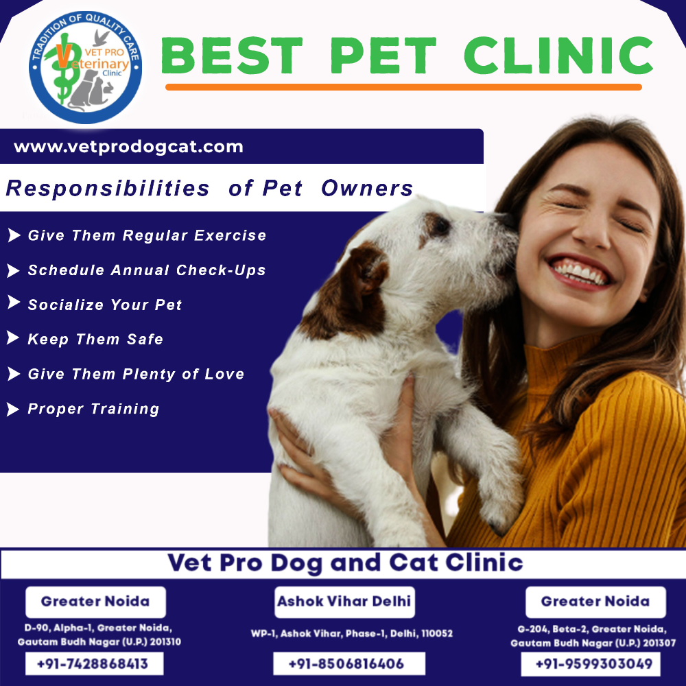 Best Pet Clinic in Delhi