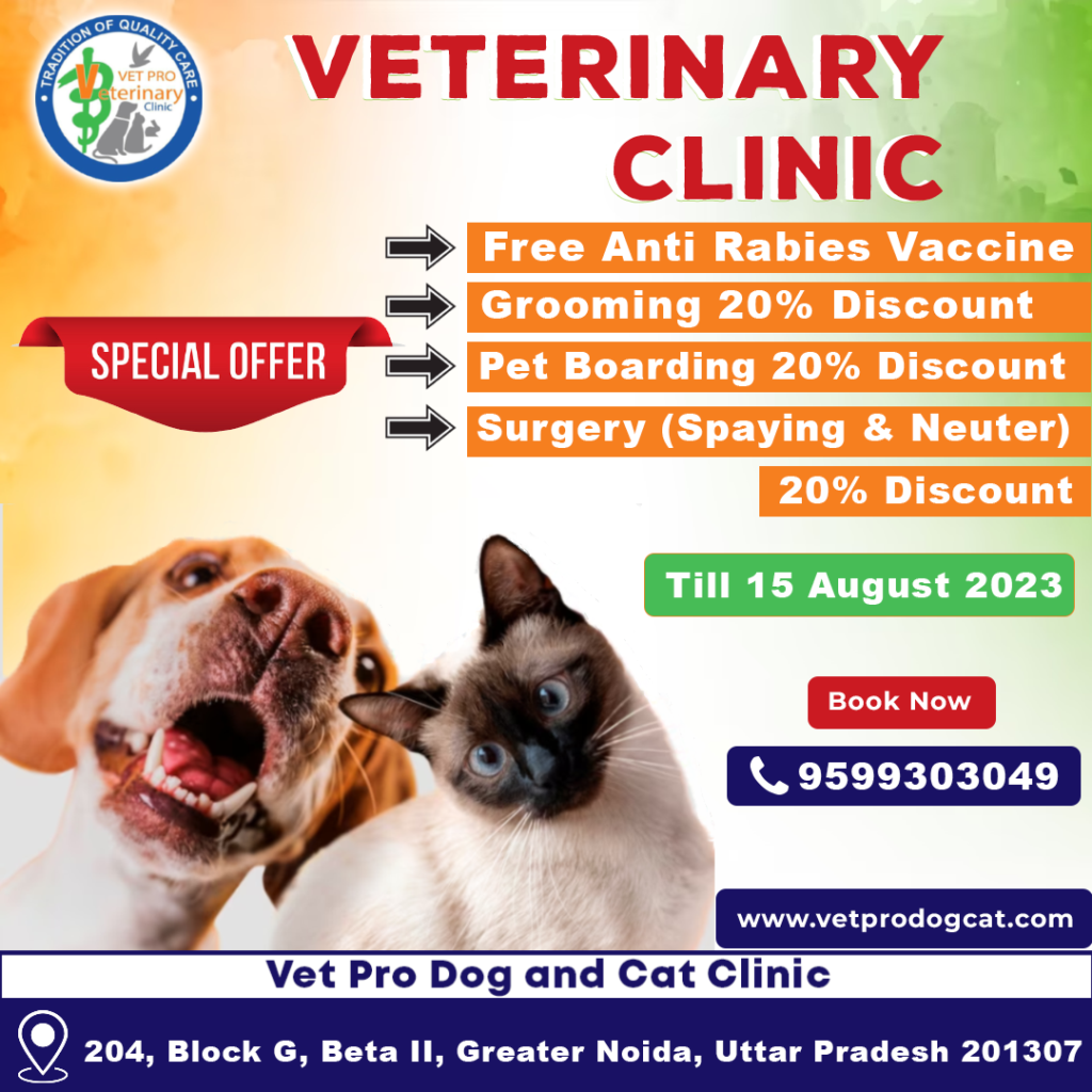 Free Anti Rabies Vaccine In Greater Noida free-anti-rabies-vaccine-in-greater-noida