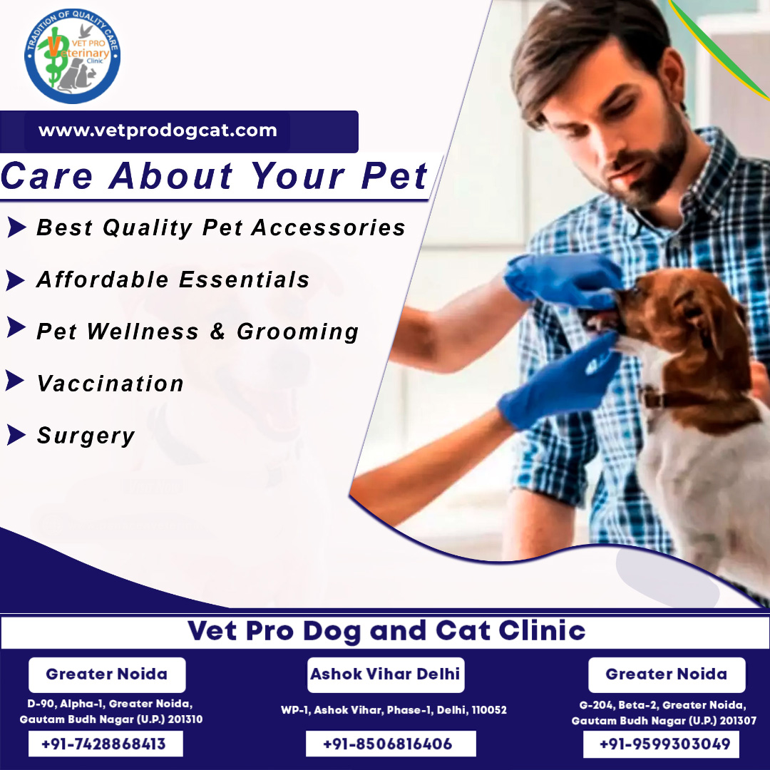 one of the best pet clinic in Delhi