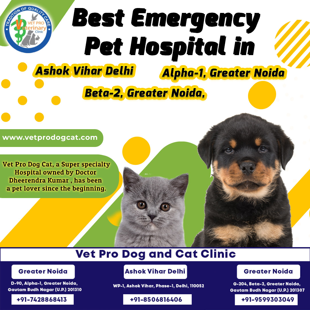 Best emergency pet hospital in delhi