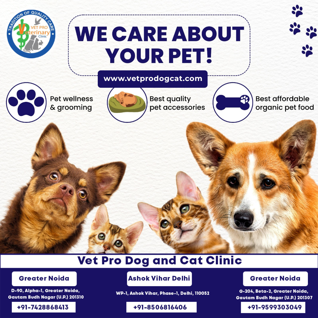 We Care About Your Pet!