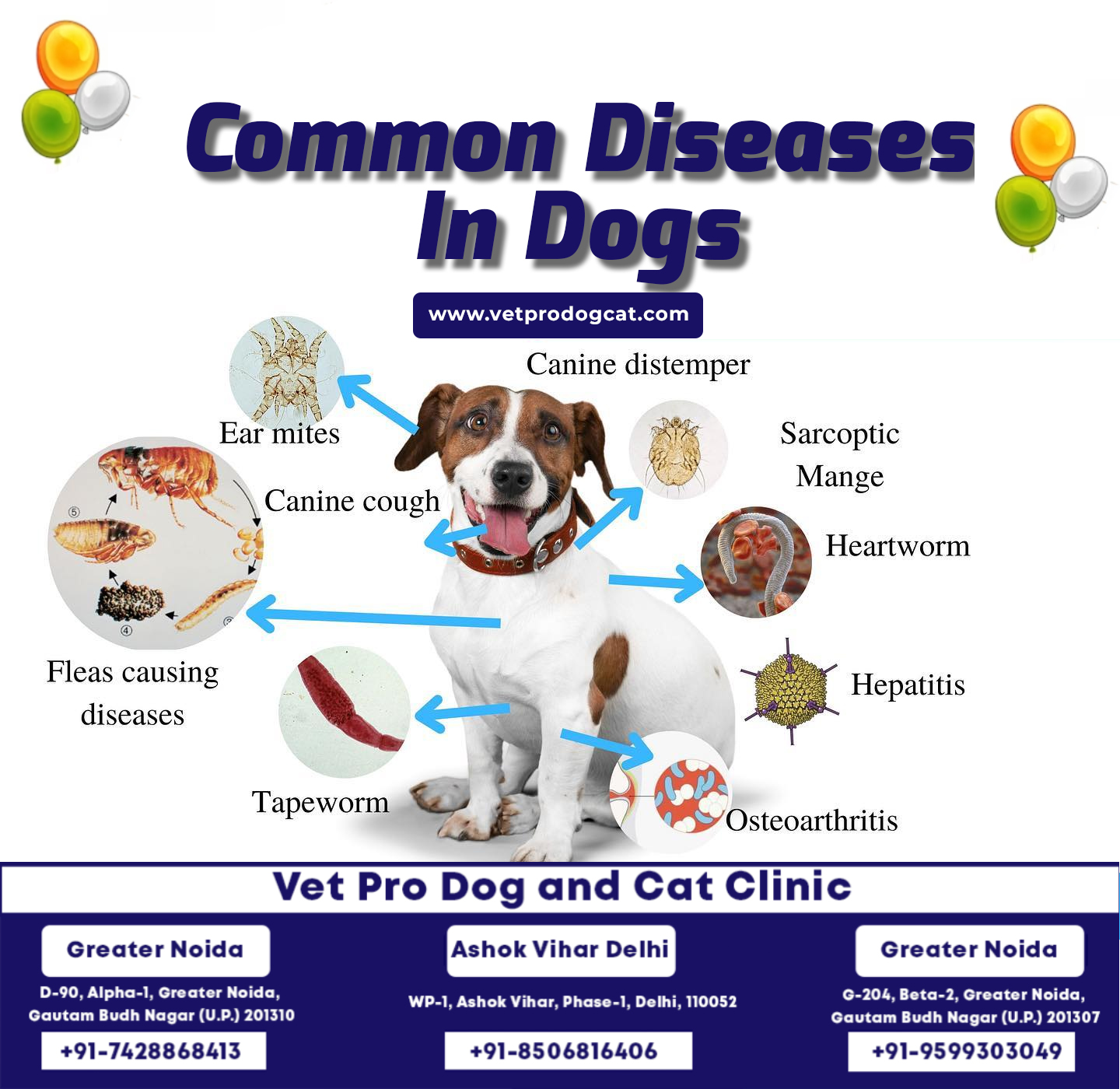 common diseases in dogs