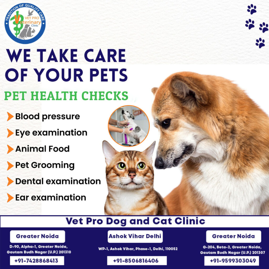 One of the best pets treatement in Beta 2 Greater Noida