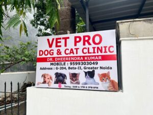 veterinary clinic in Block G, Beta 2 Greater Noida