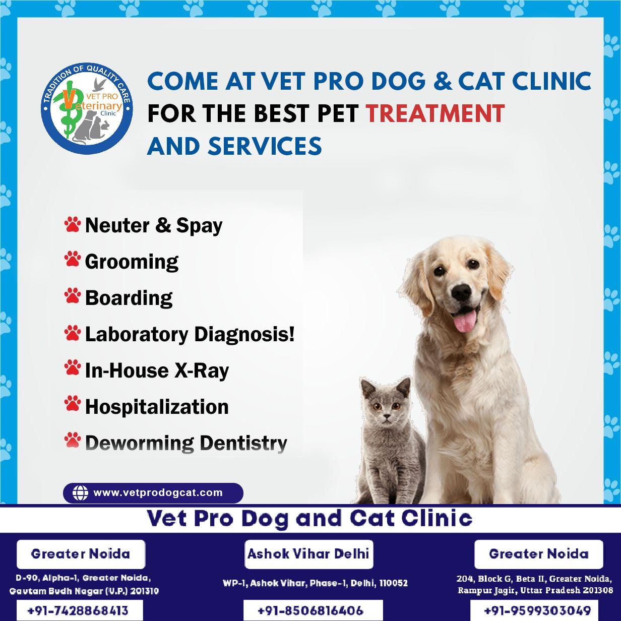 Come at Vet Pro Dog & Cat clinic for the best pet treatment and services.