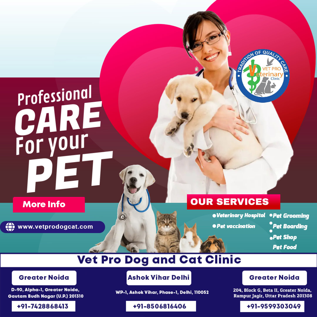 Professional Care for your pet.