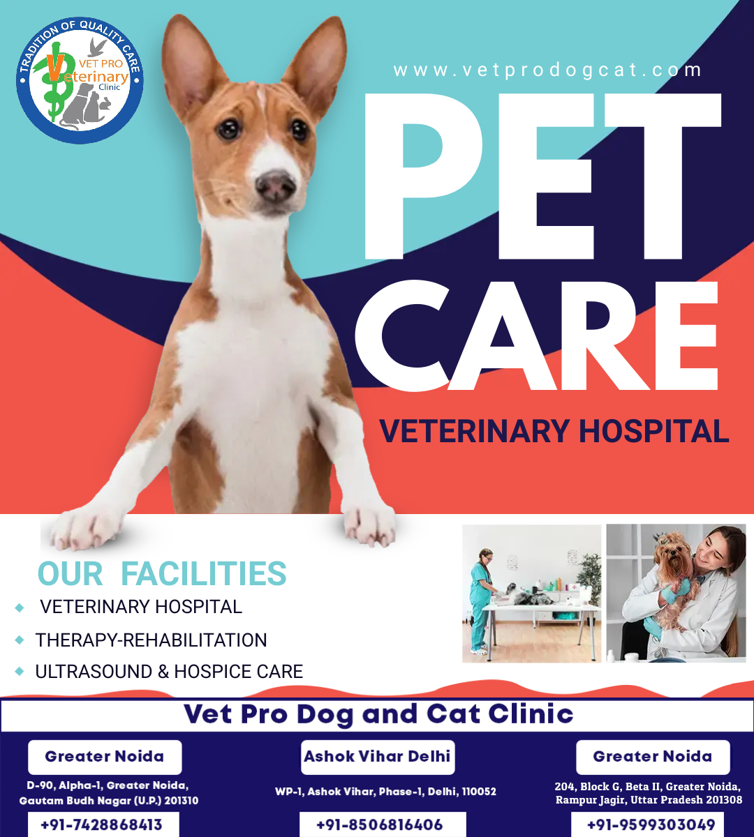 pet care in delhi