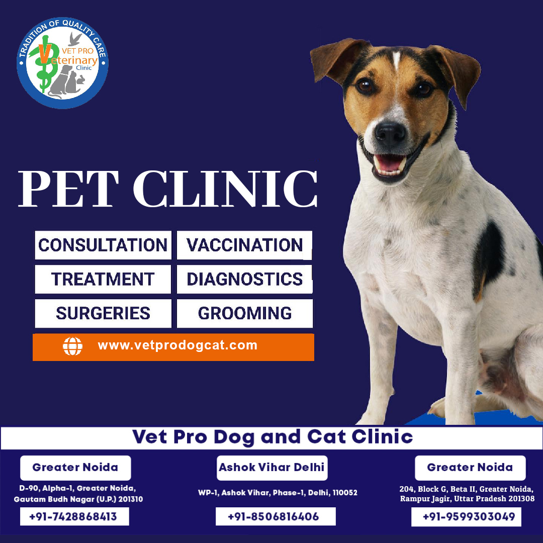 pet clinic in delhi