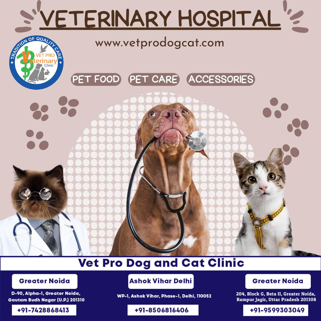 Best Veterinary Doctors in Kanhiya Nagar, Delhi