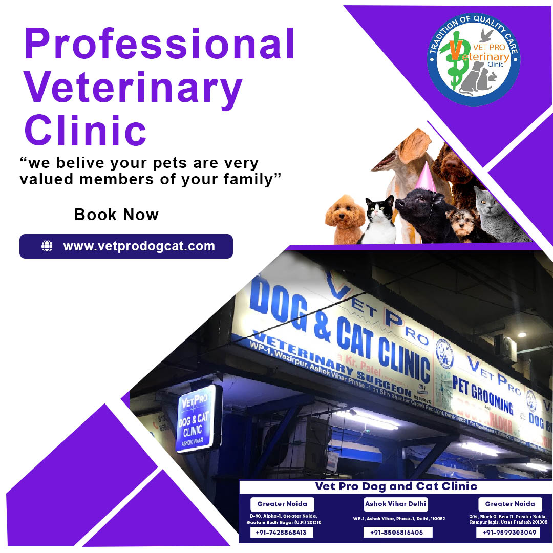 Professional Veterinary clinic in Delhi