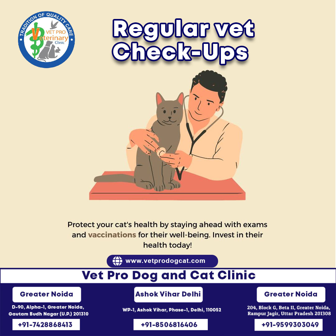 Regular veterinary check-ups offer several benefits for pets