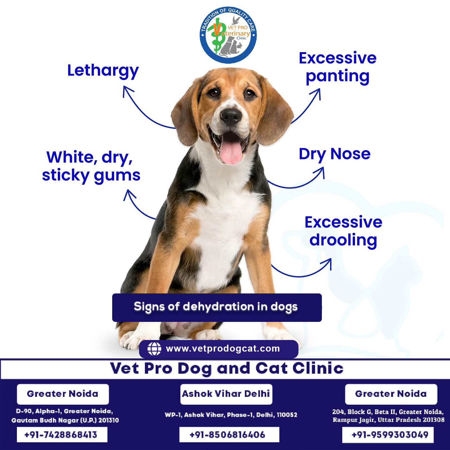 Signs of dehydration in dogs