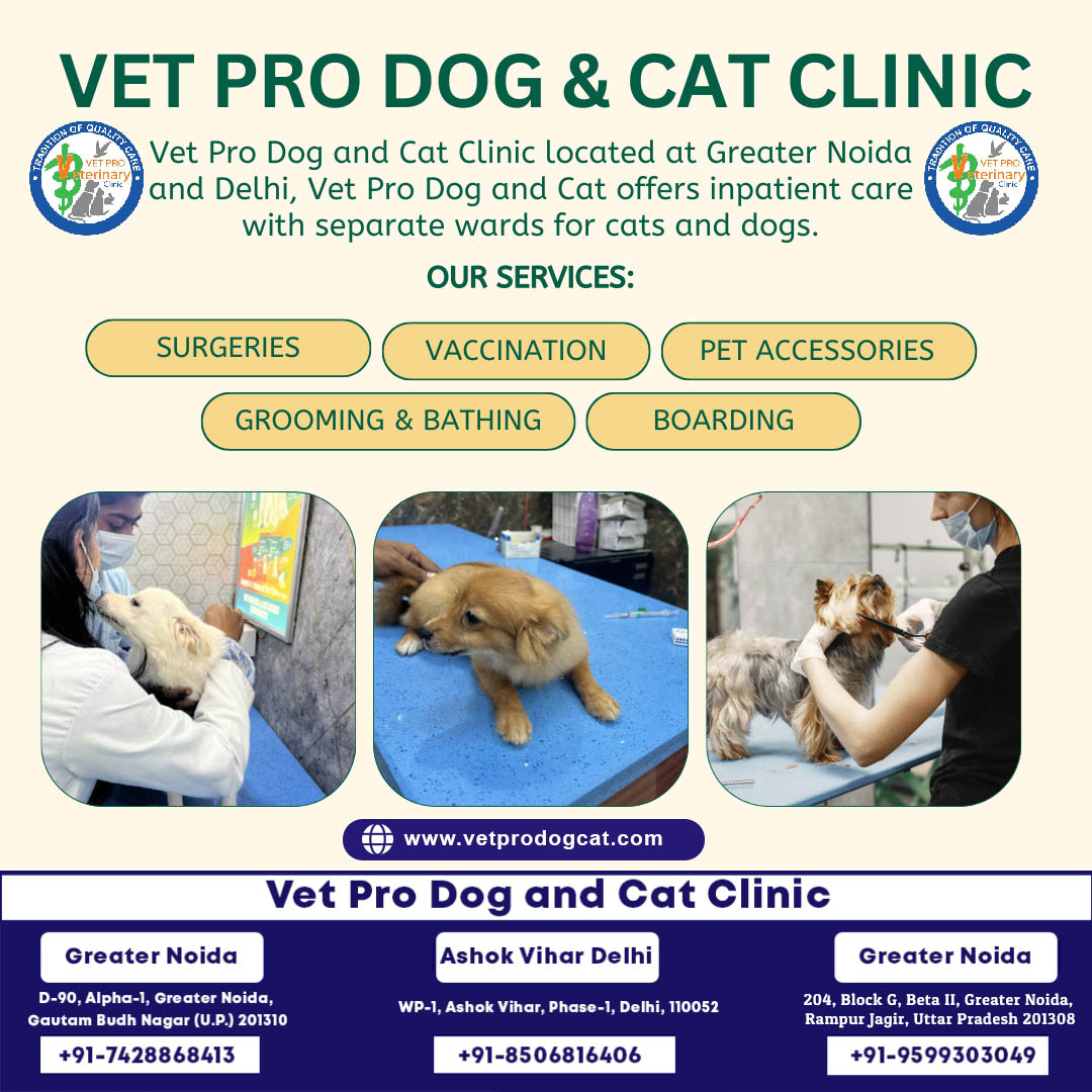 Veterinary Clinic in Greater Noida and Delhi.