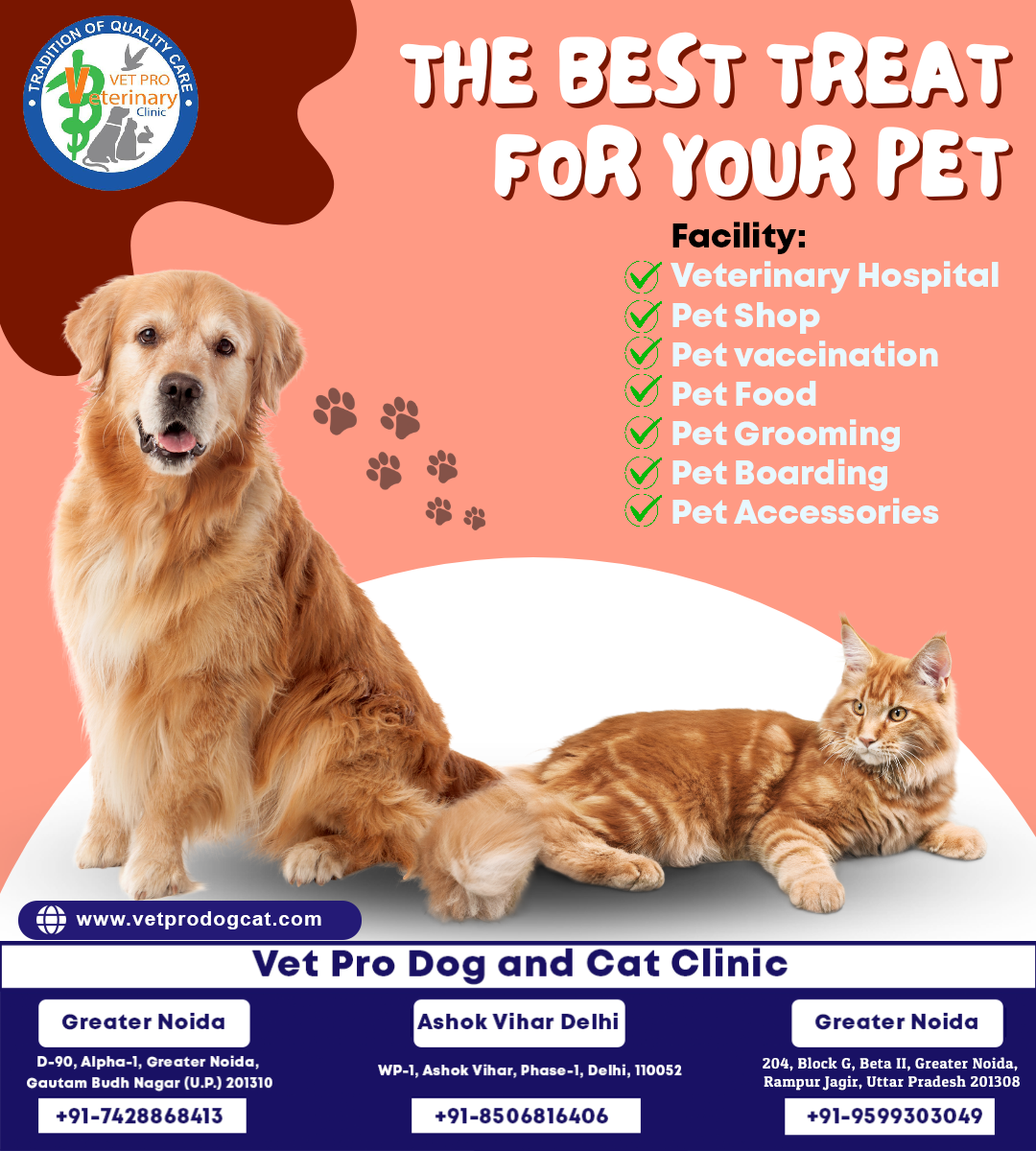 Veterinary clinic in Delhi for Cats and Dogs.