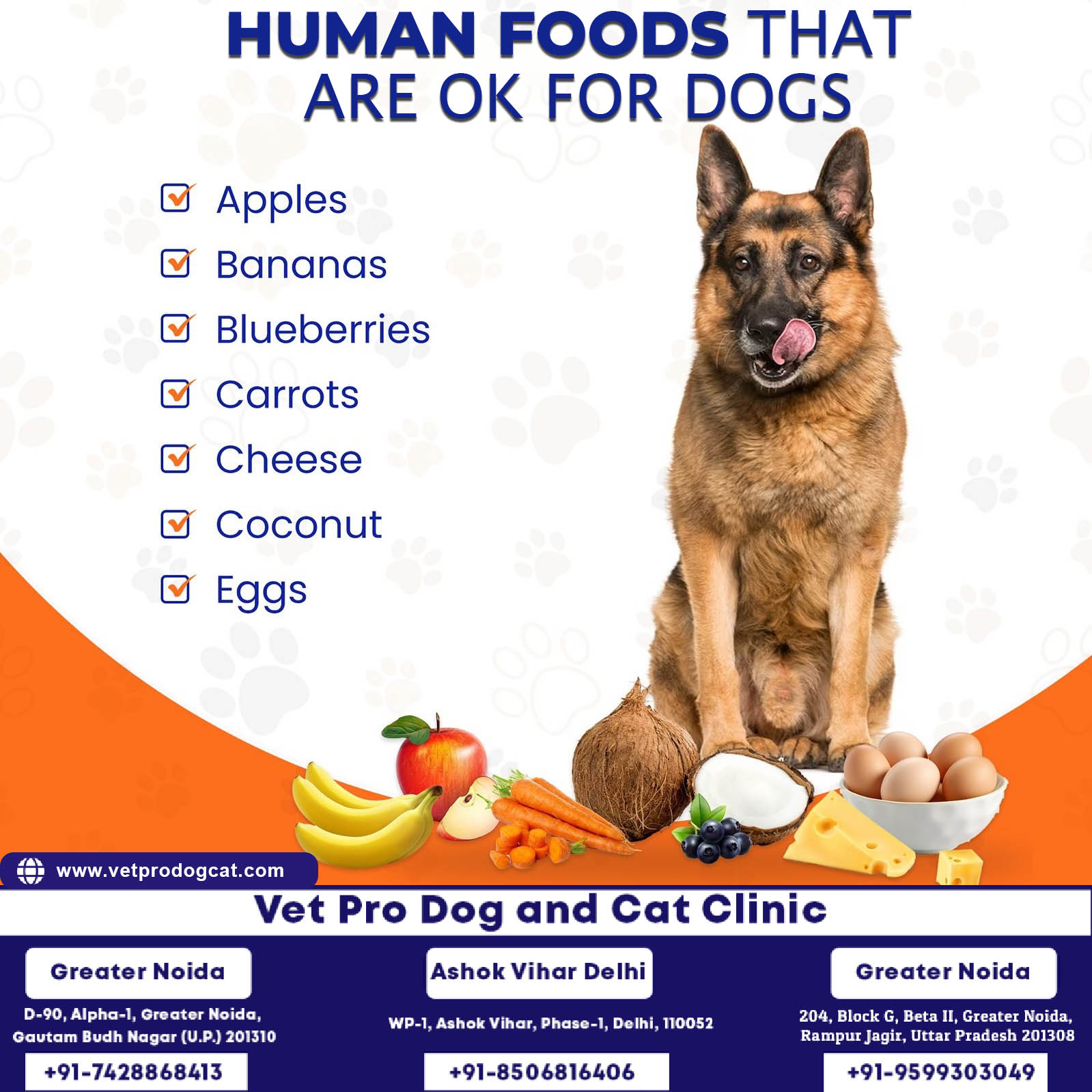 Human food that are ok for dogs
