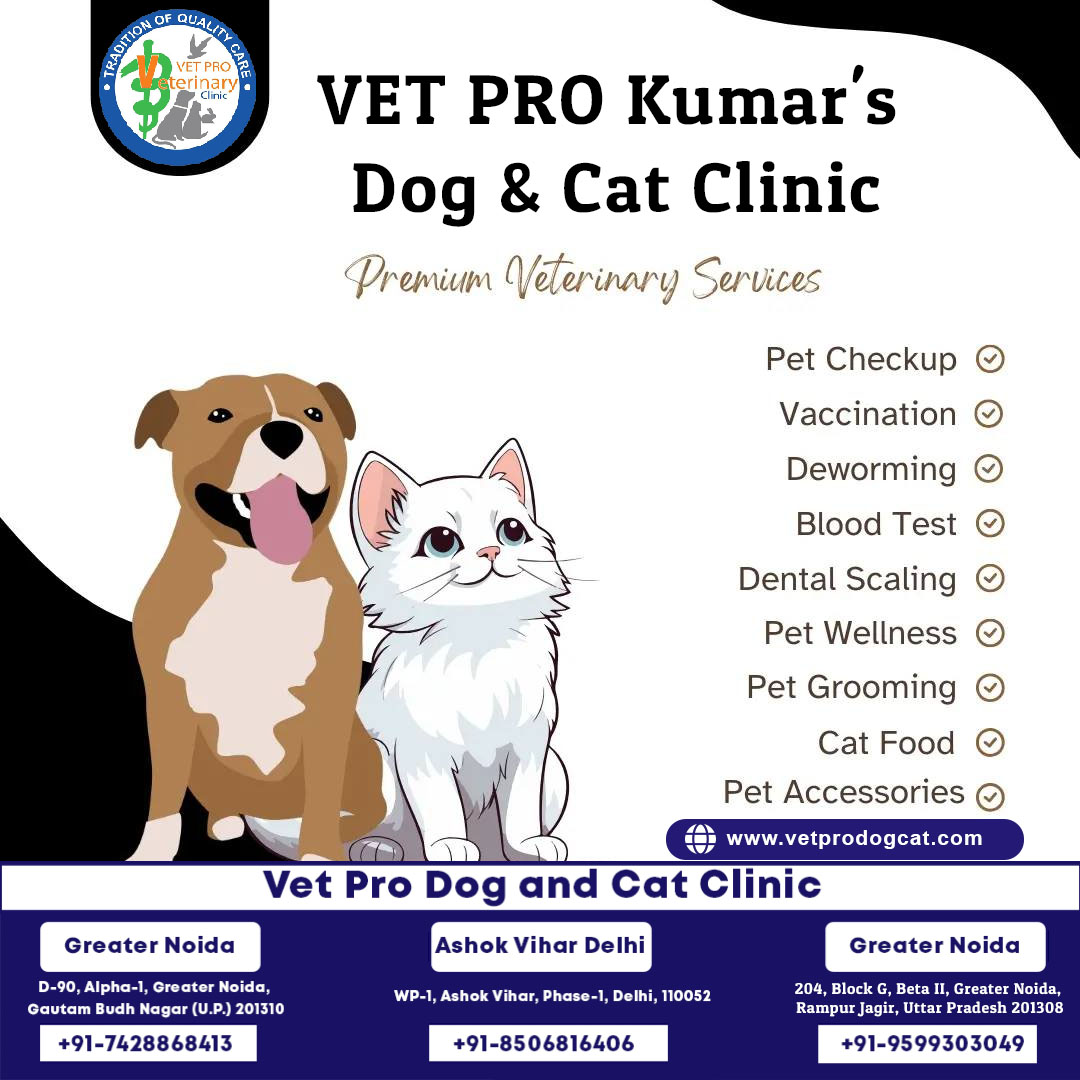 Premium Veterinary Services
