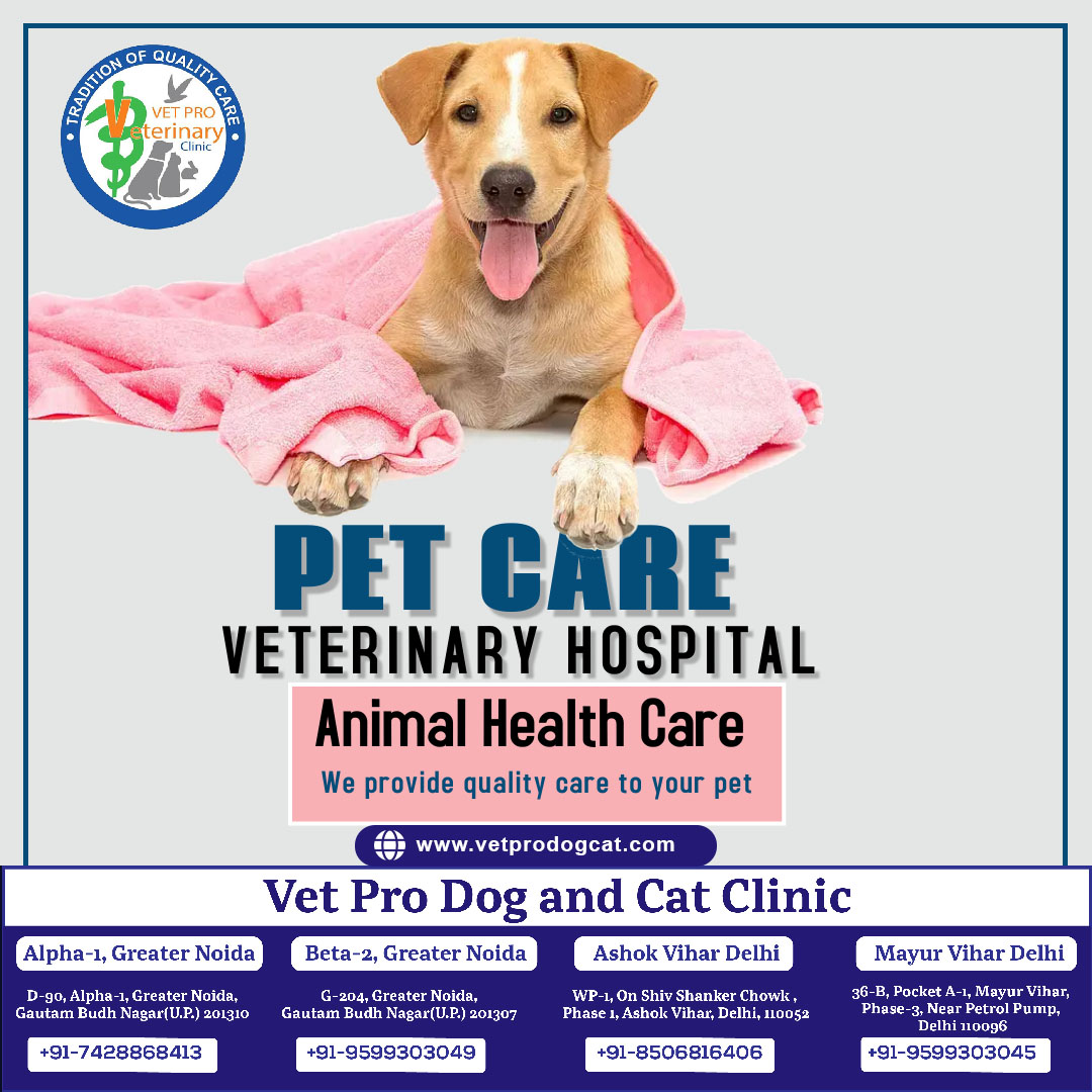 Animal health care veterinary hospital in Ashok Vihar Delhi.