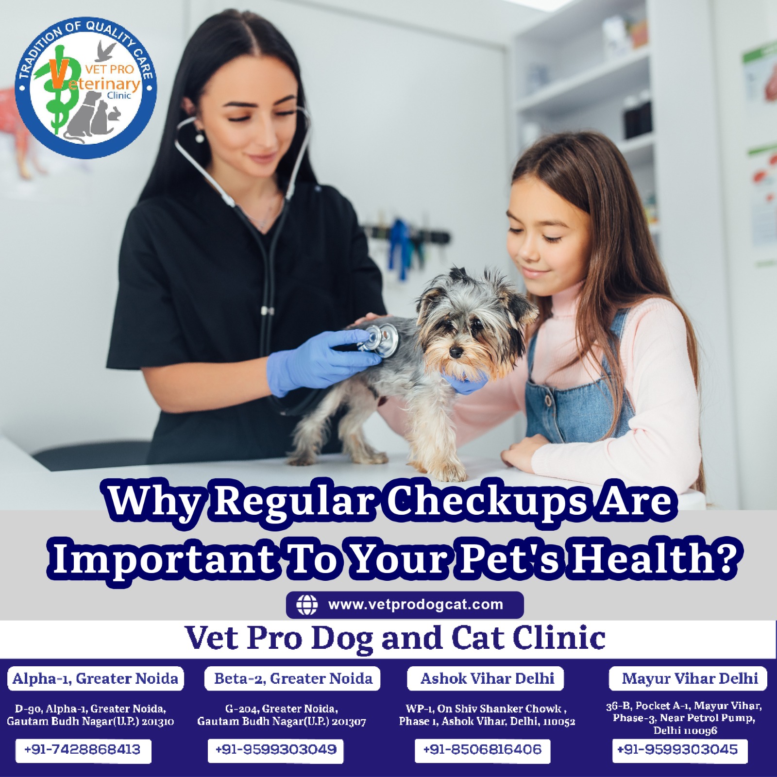 Why Regular Checkups Are Important To Your Pet's Health?