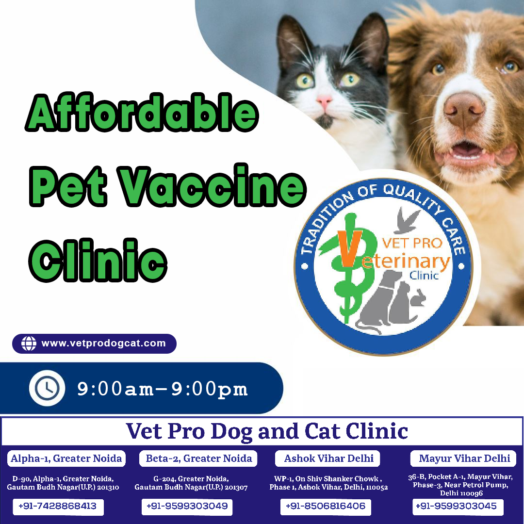 Affordable pet vaccine clinic in Delhi
