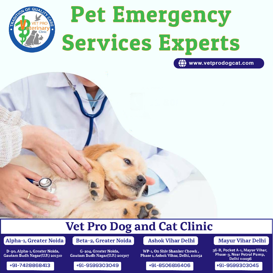 Pet emergency services experts in Mayur Vihar
