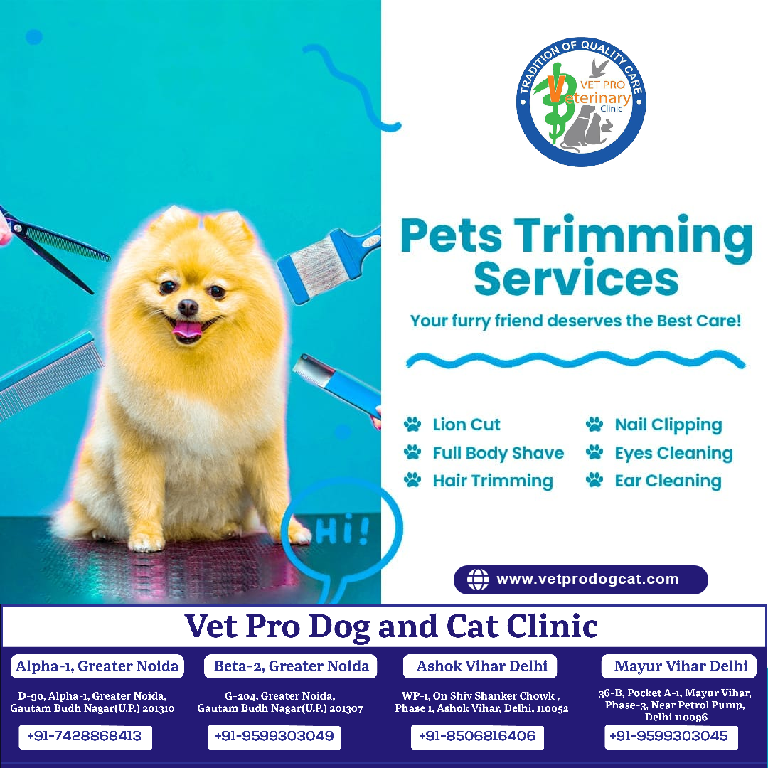 Pets Trimming Services in Greater Noida and Delhi.