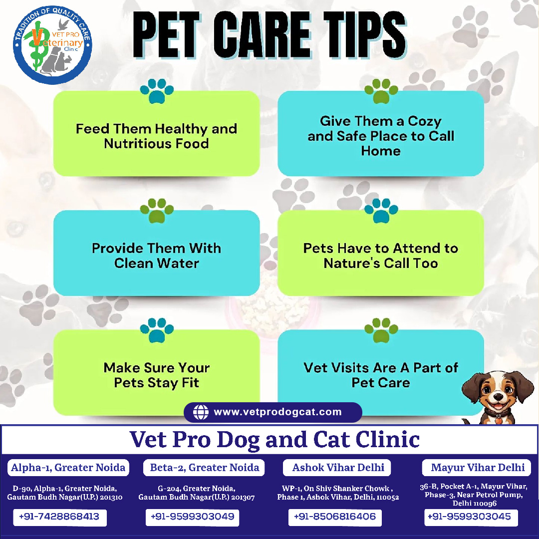 pet care tips by vetprodogcat