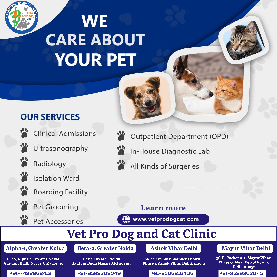 we care about your pet in Delhi