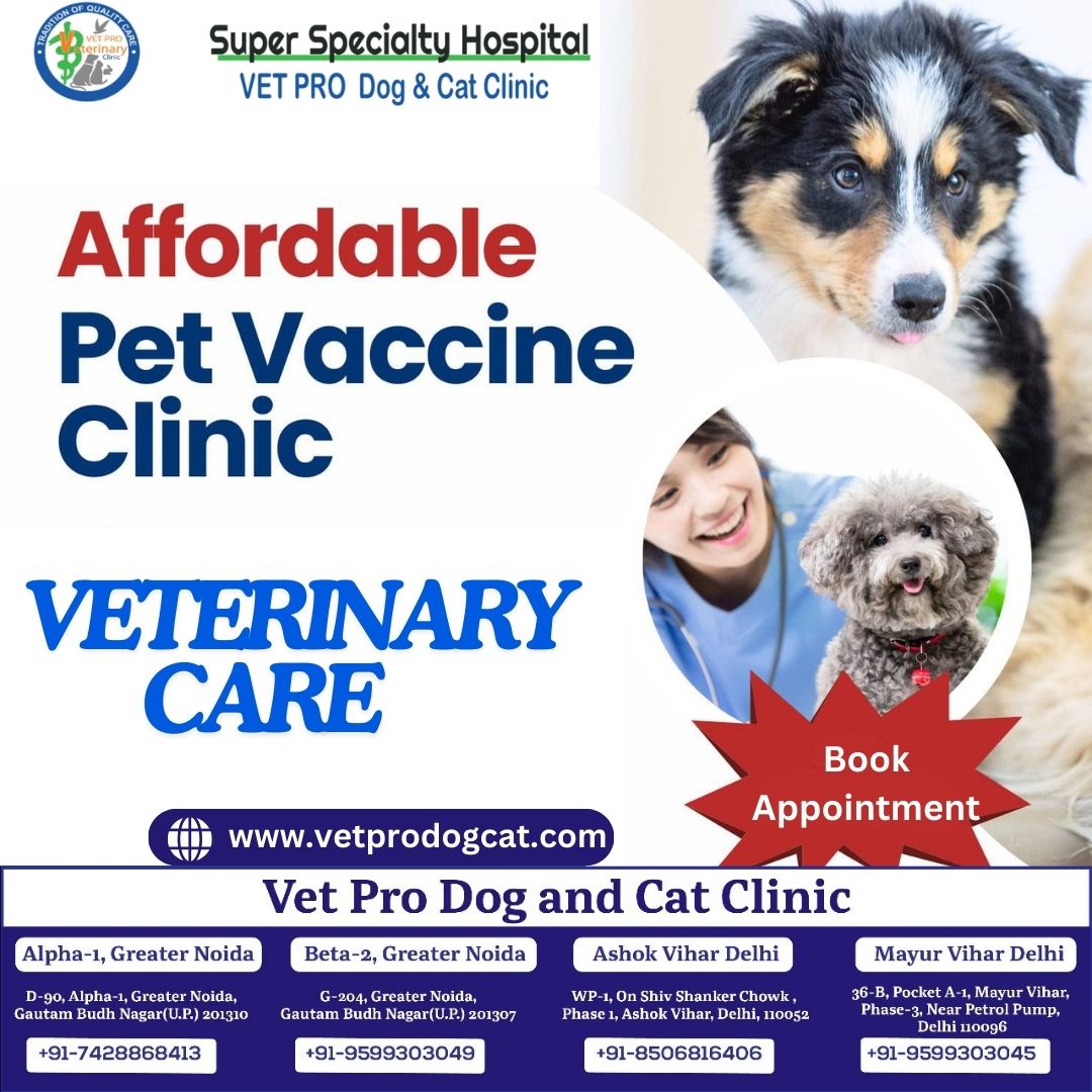 Affordable Pet Vaccine Clinic In Delhi NCR