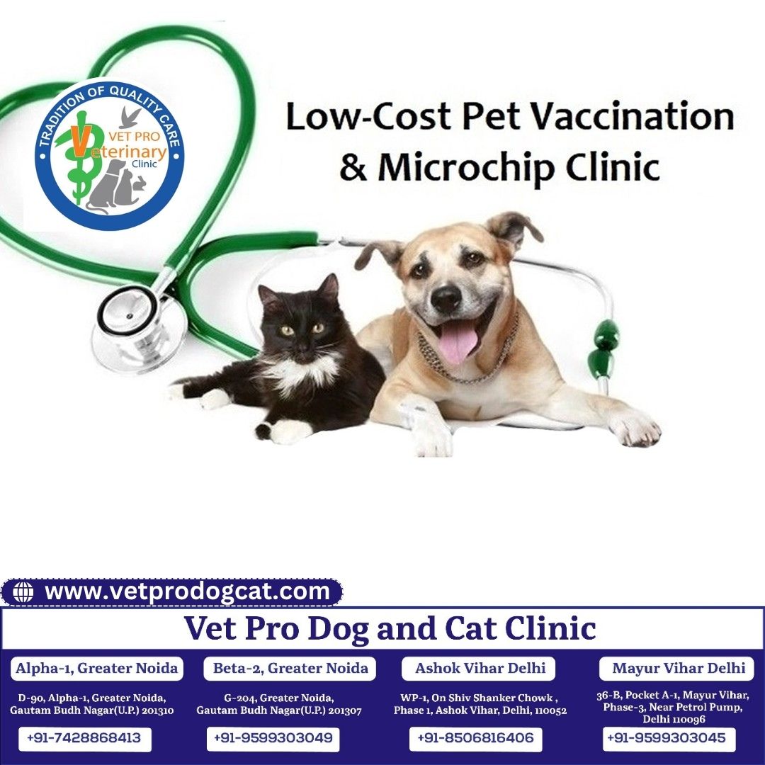 Low-Cost Pet Vaccination & Microchip Clinic in Delhi