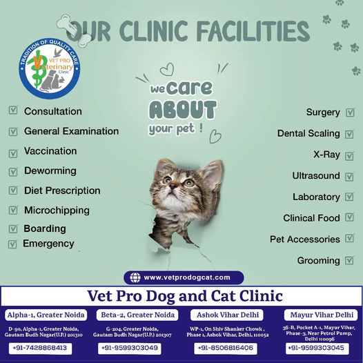 Our clinic facilities in Delhi and Greater Noida.