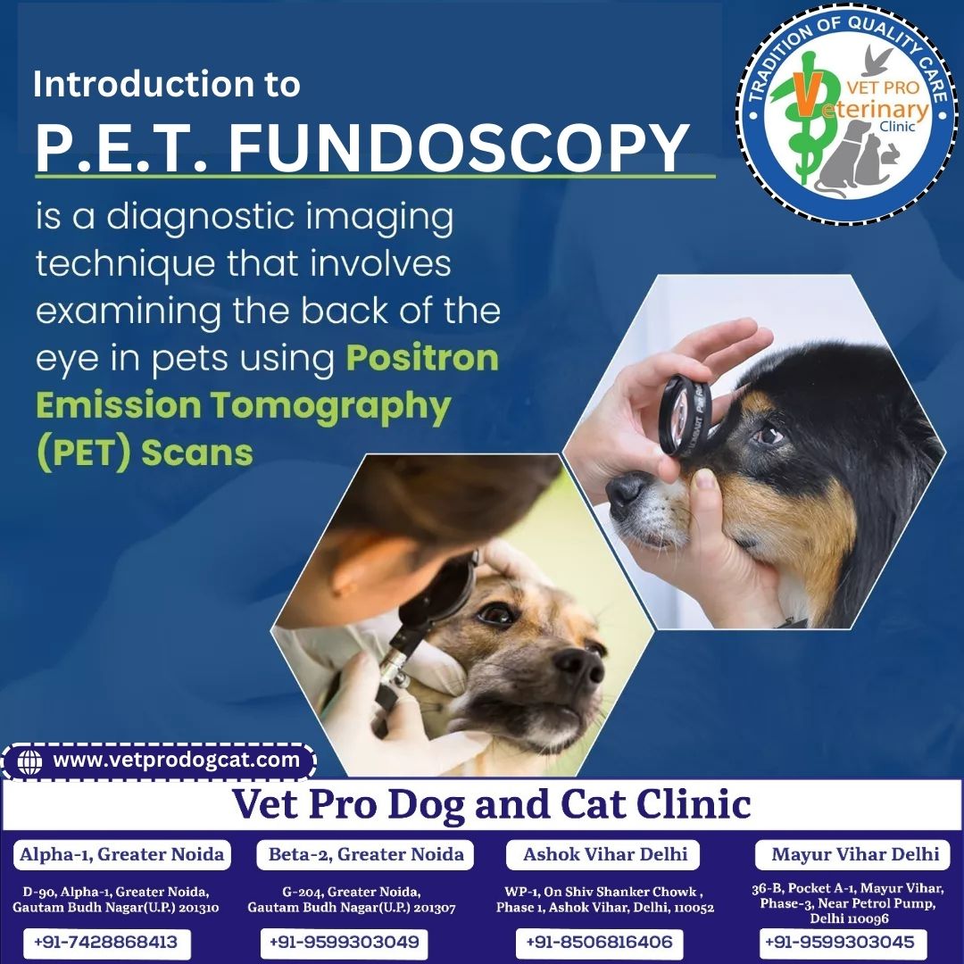 The FUNDOSCOPY Examination in Dogs