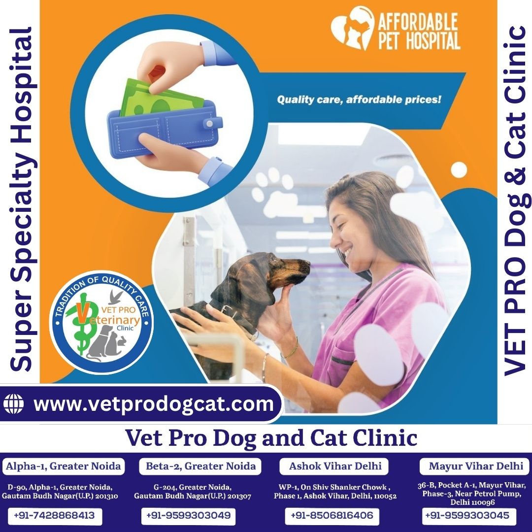 Affordable Pet Care Hospital