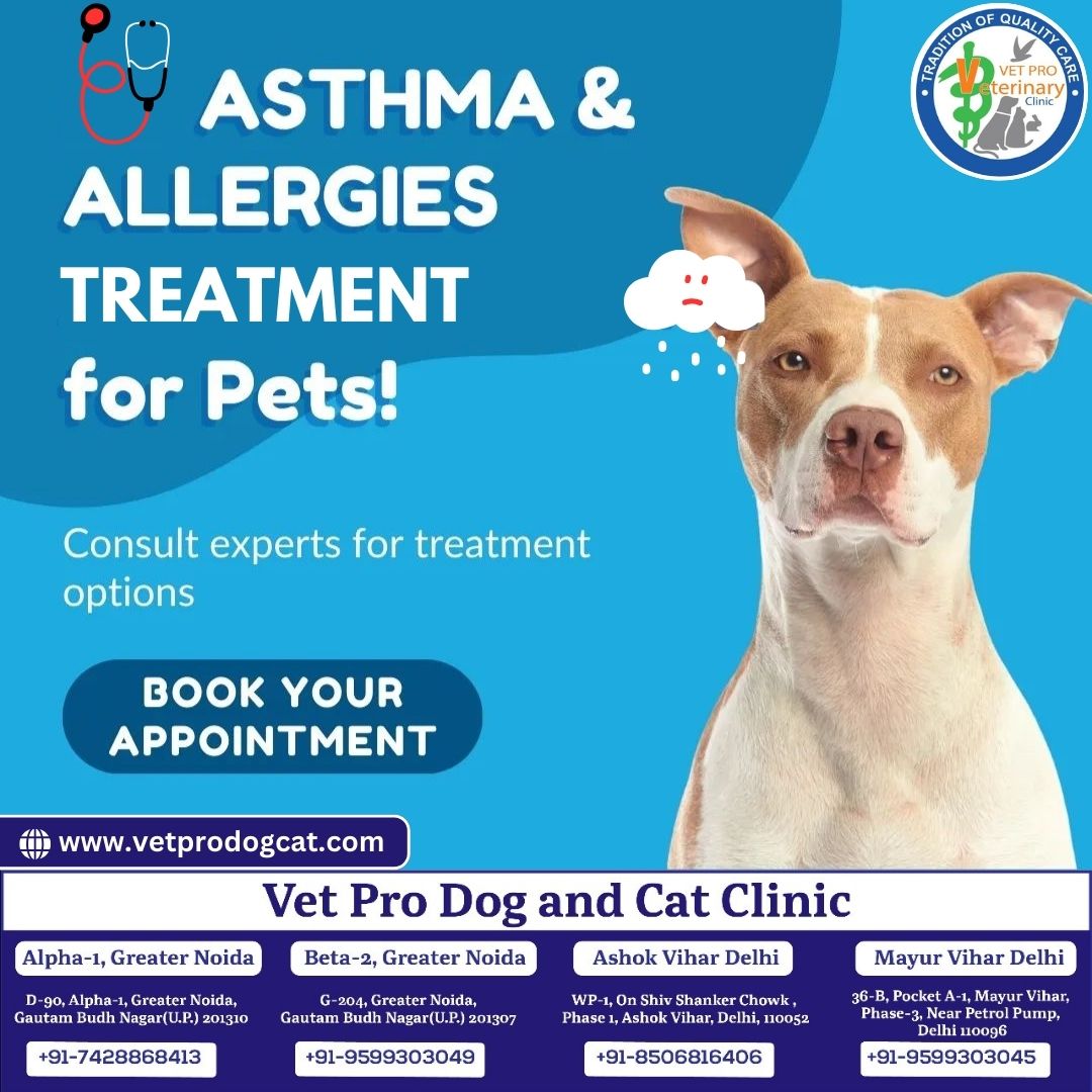 Asthma and Allergies Treatment for Pets!