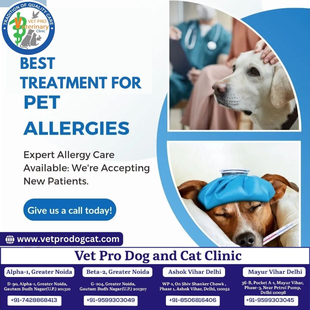 Best Treatment for Pet Allergies