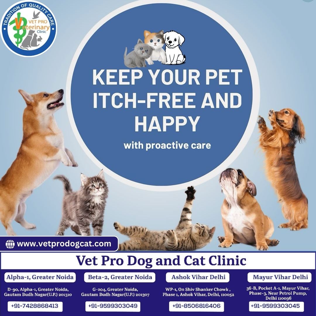 Keep Your Pet Itch-Free And Happy