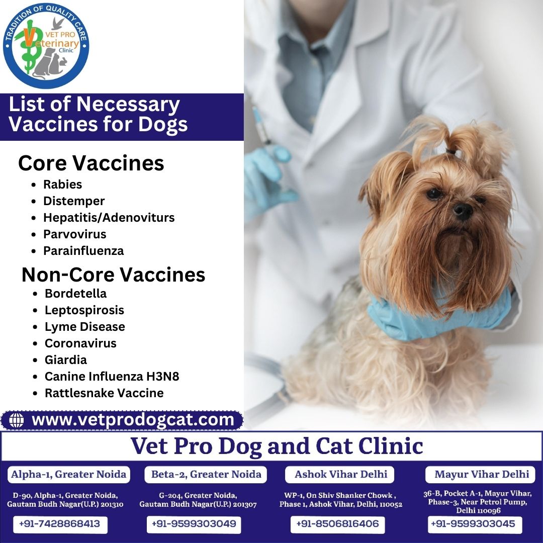 List of Necessary Vaccines for Dogs
