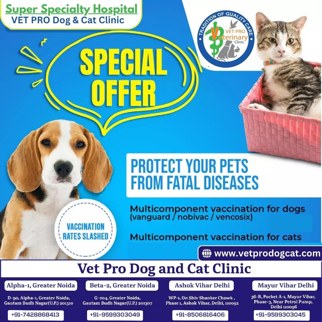 Protect Your Pets From Fatal Diseases