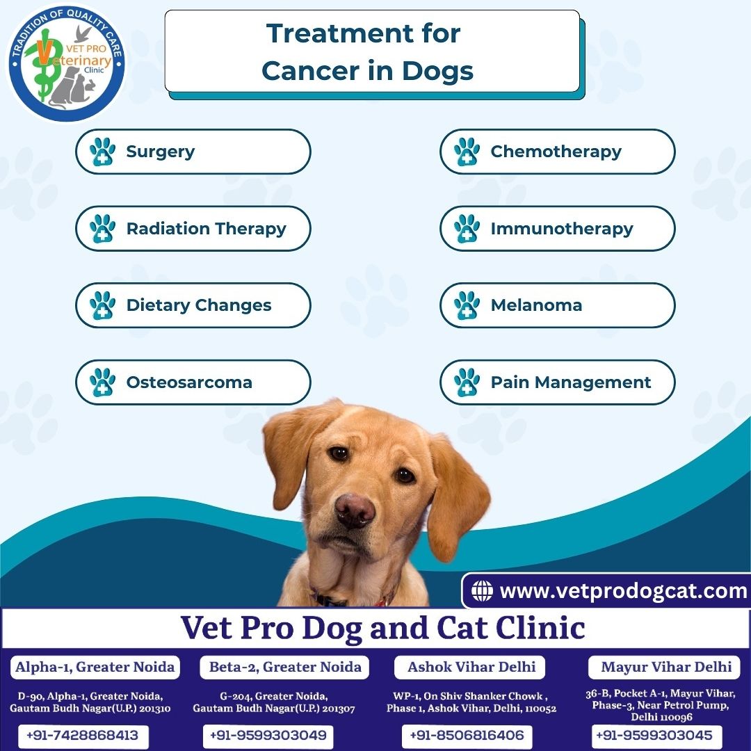 Treatment for Cancer in Dogs