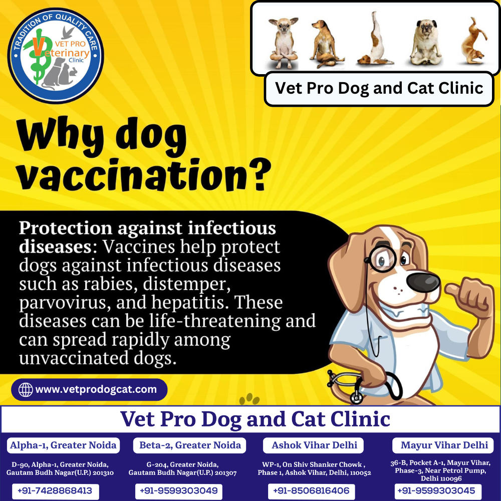 Why dog vaccination