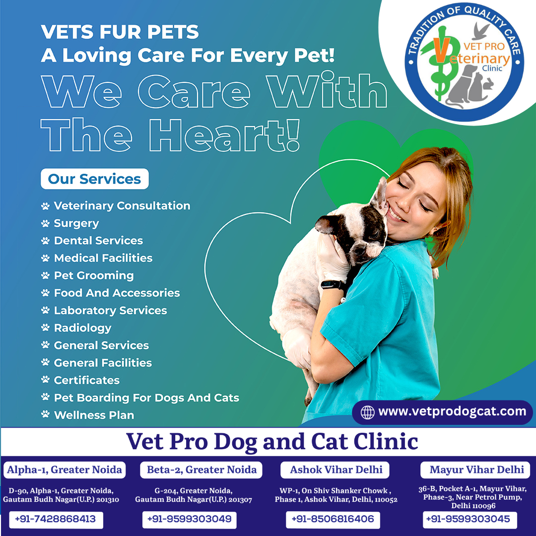 Vets fir pets a loving care for every pet!